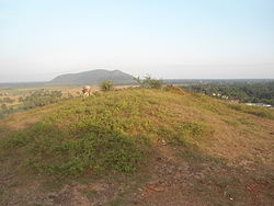 Gudiwada Dibba Buddhist Stupa Mound in Bhogapuram mandal