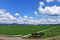 鷹巣市街地西側の田園風景