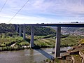 29. Kleinstterrassen an der Moseltalbrücke: Winninger Hamm mit Blick auf die Ortschaft Dieblich