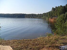 Северо-восточный берег Можайского водохранилища летом 2010 года