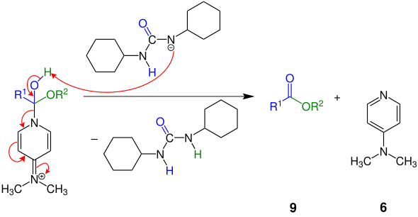 Teilschritt des Mechanismus der Steglich-Veresterung