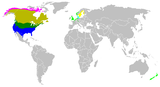 Aire de répartition de la Bernache du Canada