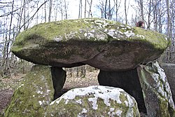 Image illustrative de l’article Dolmen de Bouéry