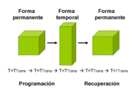 Efecto térmico de memoria