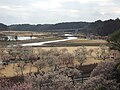 本園から見た偕楽園公園の拡張部