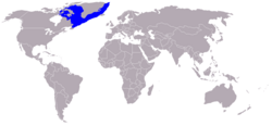 Distribución mundial de la foca de casco