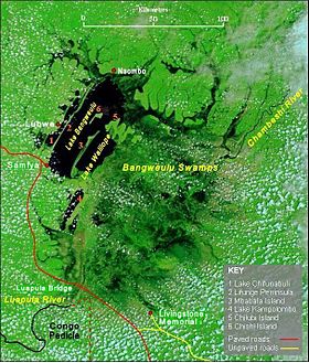 Image illustrative de l’article Lac Bangwelo