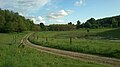 The forest of Lisbjerg Skov.