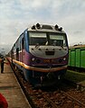 D19E-951 at Diêu Trì station on February 15, 2011