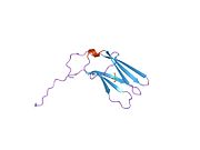 1he7​: Ljudski receptor nervnog faktora rasta TRKA