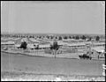 Pomona assembly center, temporary Detention Camp for Japanese Americans