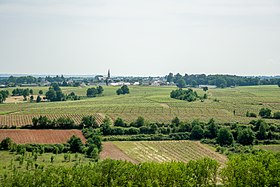 Saint-Lambert-du-Lattay