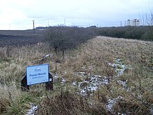 Possil Marsh Wildlife Reserve, 2009