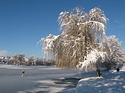 Roath Park lake – the park was another father/son collaboration between Andrew Pettigrew and William Wallace