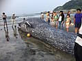 2018年8月11日 (土) 06:31時点における版のサムネイル