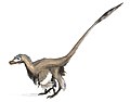 Velociraptor je bio dinosaur s perjem i živio je tijekom kasne krede.
