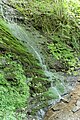 Der Wasserfall im Dortebachtal