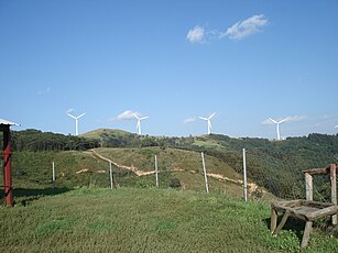 대관령의 산 언덕