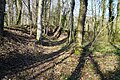 The slag heap at shaft no. 1.