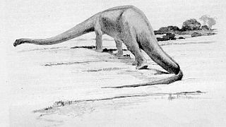 Diplodocus (Charles R. Knight, 1912)