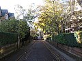 View west along Church Walk from the junction with Winchester Road in the summer.