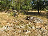 Dolmen des Strabols