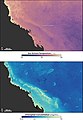 Image 31Sea temperature and bleaching of the Great Barrier Reef (from Environmental threats to the Great Barrier Reef)