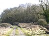 Geddington Chase