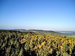 Blick nach Westen zum Kandrich (2006)