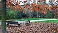 Bosco di Sant'Eusebio - Cinisello Balsamo