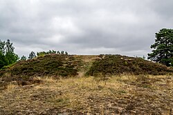 Kungshögen Kung Inges hög i Vallby socken, Österrekarne härad.