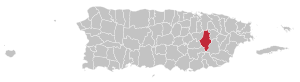 Map of Puerto Rico highlighting Caguas Municipality