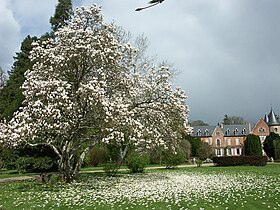 Image illustrative de l’article Arboretum de Balaine