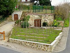 Vignoble, route de Cormeilles.