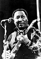 MUDDY WATERS