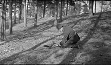 man on knees giving food to squirrel in forest