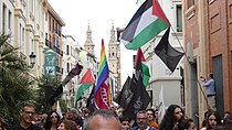 Picture of Crowd at Pro-Palestine Protest at Logroño Pride Carrying Pride Flags and Slogan "Stop the Genocide"