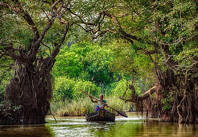 'n Man in 'n boot by Ratargul-moeraswoud, Bangladesj.