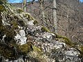 In den Fels gehauene Treppenstufen