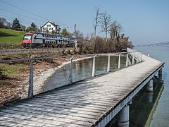 Bank path and pedestrian bridge near Richterswil