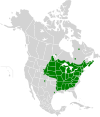 Aire de répartition du Mulet à cornes