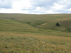 Source du Bès sur le versant est.