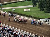 Chuckwagon racing