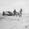 1st Battalion, Caribbean Regiment soldiers training in Egypt rush from a Universal carrier to take up position with a Bren gun in 1945