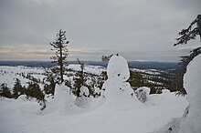 Des paysages de montagnes enneigées à perte de vue et recouvertes d'arbres aux, avec un ciel gris de nuage.