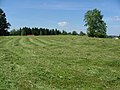 Blick auf das Kastellplateau