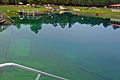 Main pond at Vortex Spring