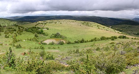 Lavogne sur le causse Méjean en juin.