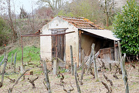 Image illustrative de l’article Puy-de-dôme (IGP)