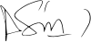 Pedro Sánchez's signature